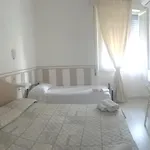 Отель City Hotel