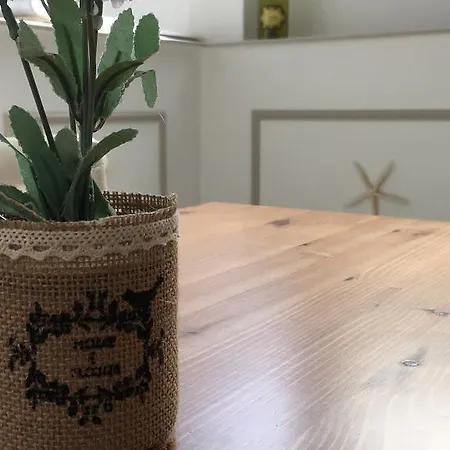 City Hotel Hotel Viareggio