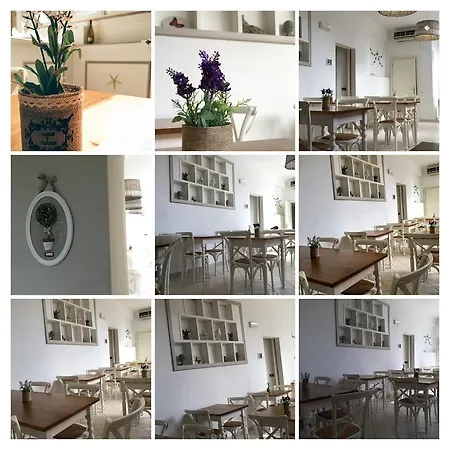 Ξενοδοχείο City Hotel 3*