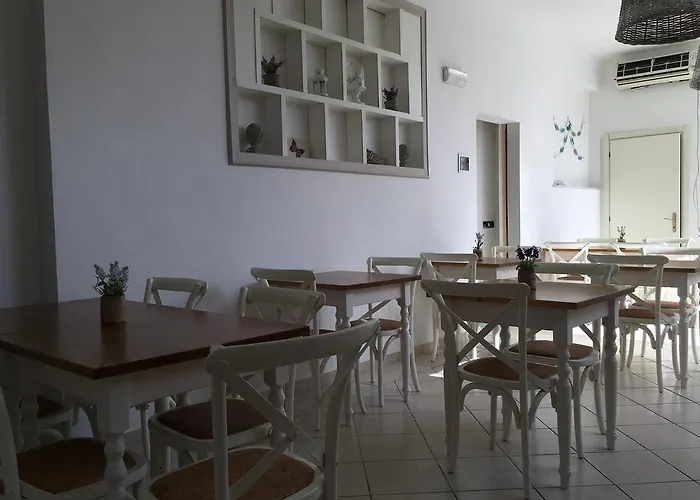 City Hotel فندق 3*