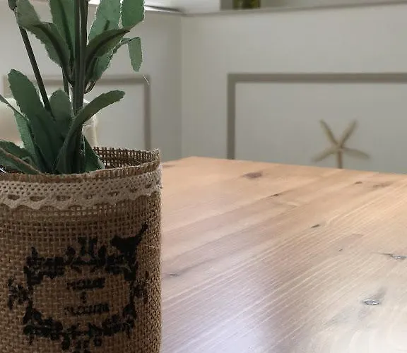 City Hotel فندق فياريجيو