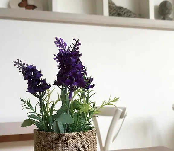 City Hotel Отель