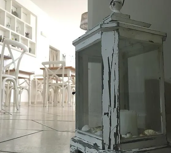 Отель City Hotel 3*