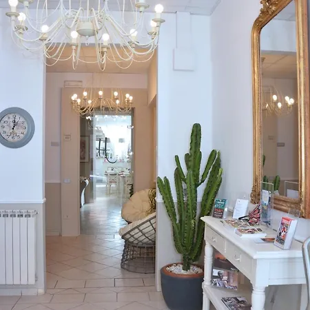 Hotel City Hotel 3*